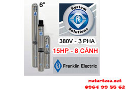 Bơm hỏa tiễn Franklin 6inch 46SR11F65-0863