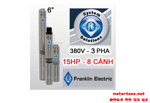 Bơm hỏa tiễn Franklin 6inch 46SR11F65-0863