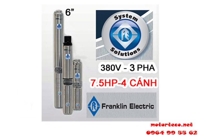 Bơm hỏa tiễn Franklin 6inch 46SR5F65-0463