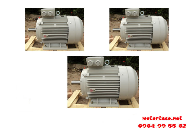 Động cơ ESC