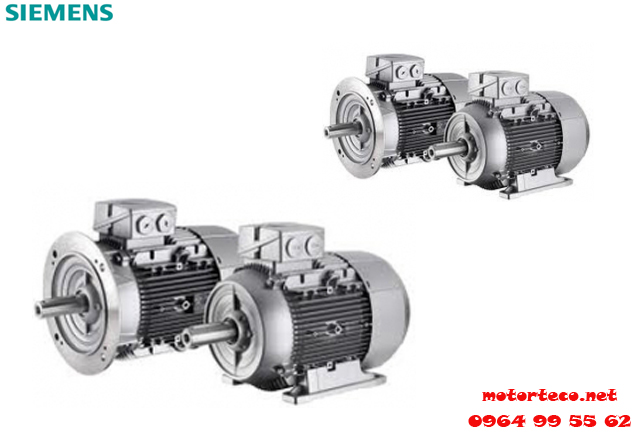 Motor Siemens 1LE1