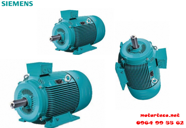 Motor Siemens 1LG6