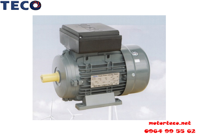 Motor TECO 1 Pha BEML