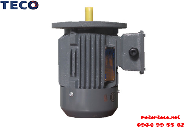 Motor TECO AEUV 