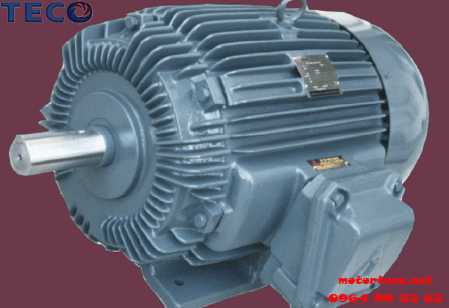 Motor TECO phòng nổ an toàn