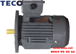 Motor TECO AEUV 