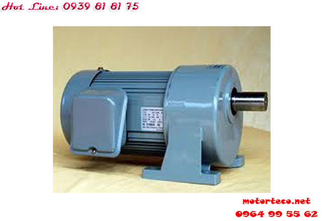 MOTOR GIẢM TỐC CHEN TA CHÂN ĐẾ