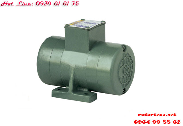 MOTOR RUNG TPG 2P