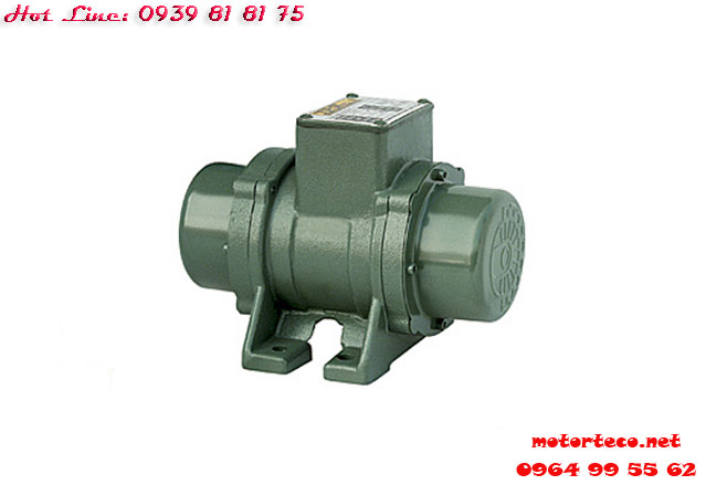 MOTOR RUNG TPG 4P