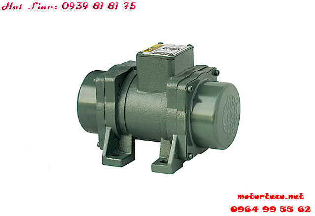 MOTOR RUNG TPG 6P