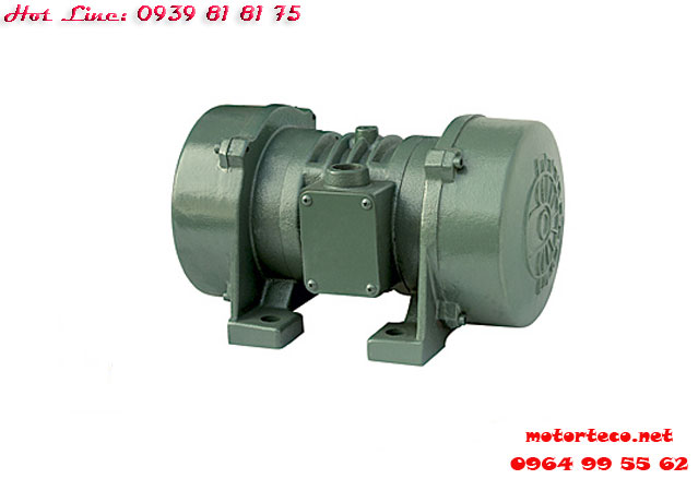 MOTOR RUNG TPG 8P