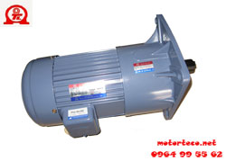 Motor Giảm Tunglee - Mặt Bích