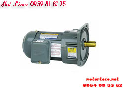 MOTOR GIẢM TỐC TPG  MẶT BÍCH