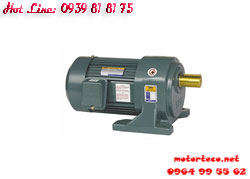 MOTOR GIẢM TỐC TPG