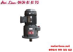 MOTOR GIẢM TỐC REYON MẶT BÍCH