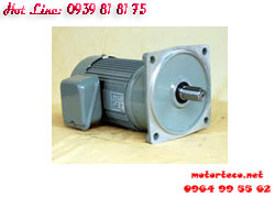 MOTOR GIẢM TỐC CHEN TA MẶT BÍCH VỎ NHÔM