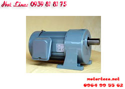 MOTOR GIẢM TỐC CHEN TA CHÂN ĐẾ