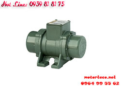 MOTOR RUNG TPG 4P