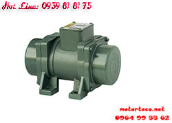 MOTOR RUNG TPG 6P