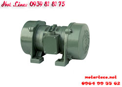 MOTOR RUNG TPG 8P