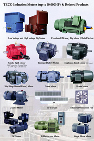 Giới thiệu motor Teco